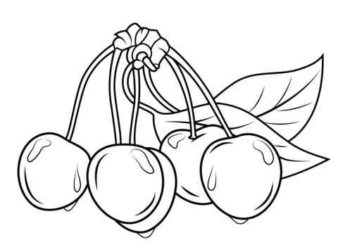 Coloring pages printed cherries coloring pages