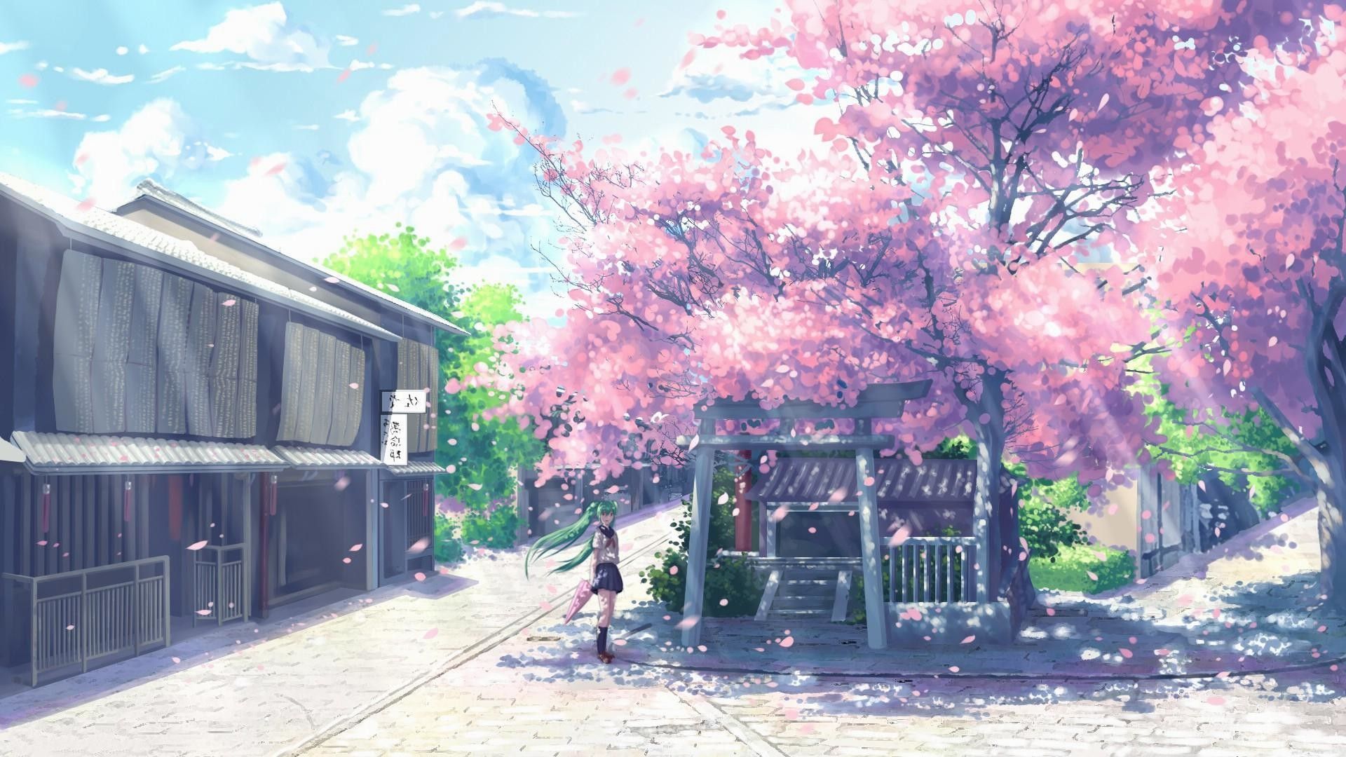 Cherry blossoms anime wallpapers