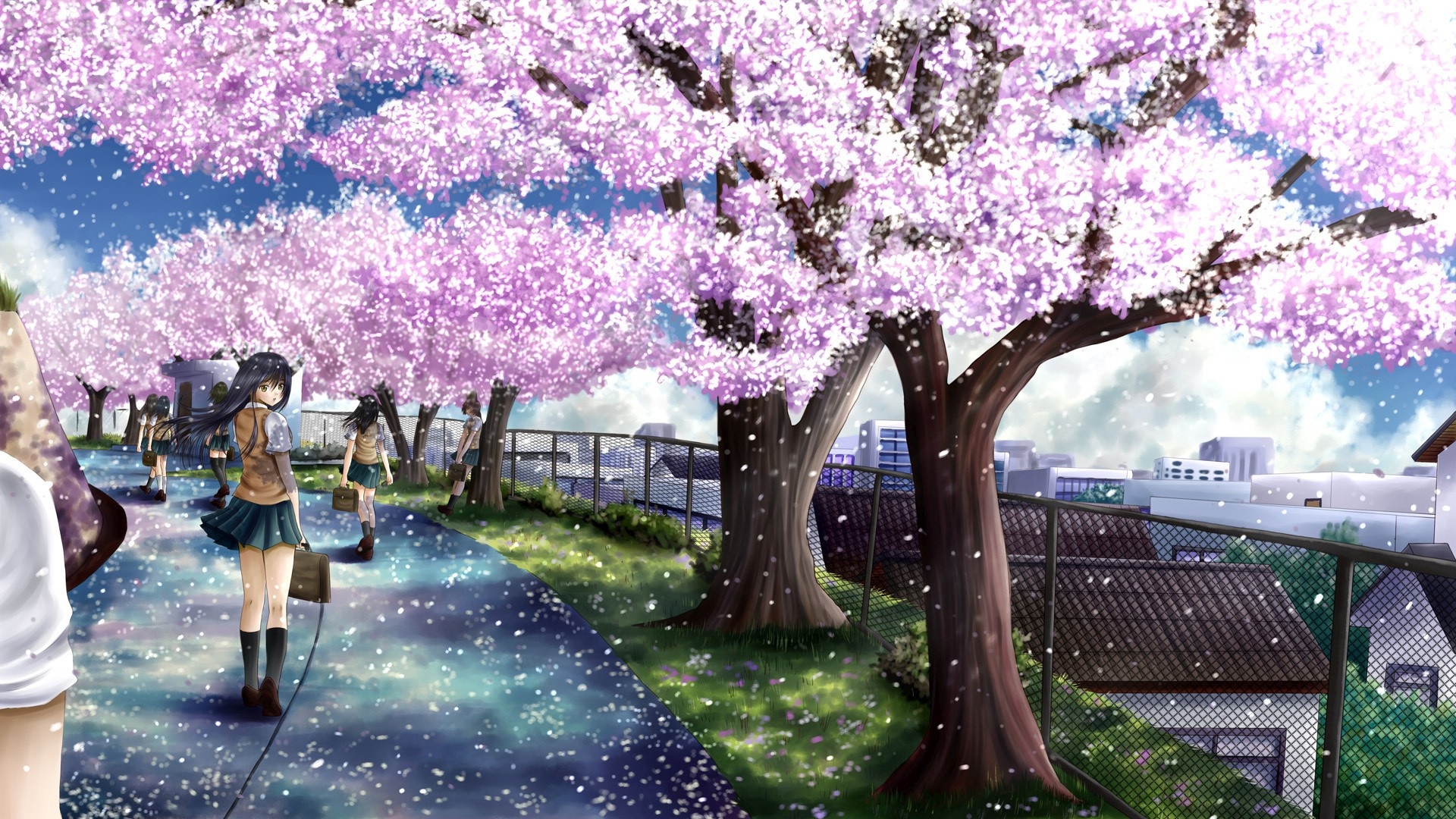 Anime cherry blossom desktop wallpaper