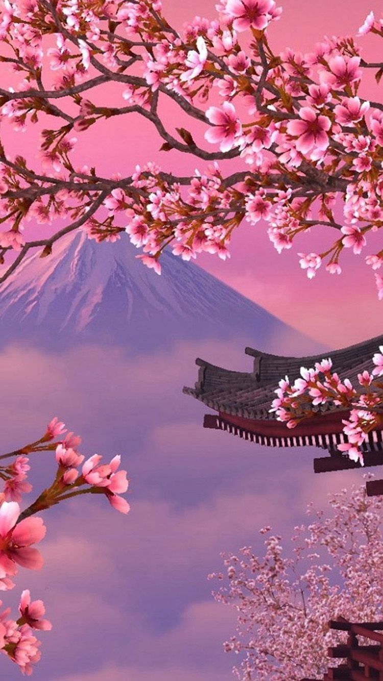 Aesthetic cherry blossom wallpapers