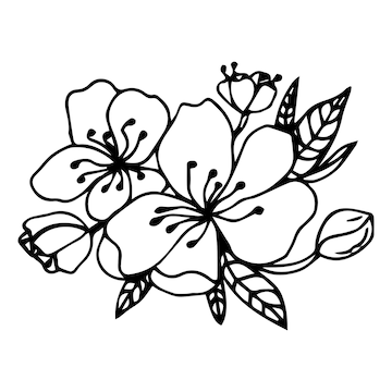 Premium vector hand drawn cherry branches with flowersblack and white coloring booksakura plant silhouette