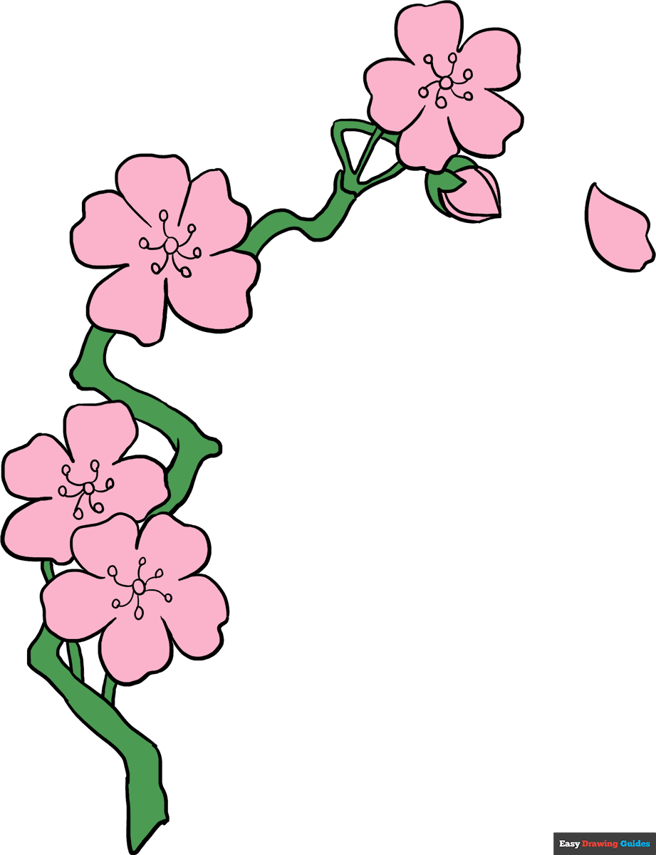 How to draw cherry blossoms