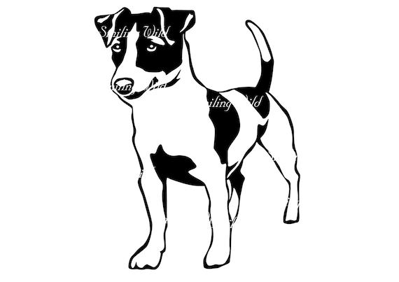 Jack russell terrier svg clipart vector graphic art jack russell terrier cut file printable cuttable portrait artwork png scrapbooking