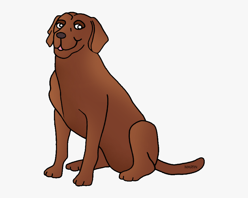 Premium vector chocolate lab dog colored cartoon illustration