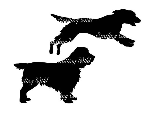 Buy field spaniel dog clipart silhouette svg field spaniel cut online in india