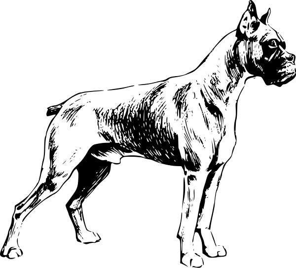 Free dog clipart pages of public domain clip art