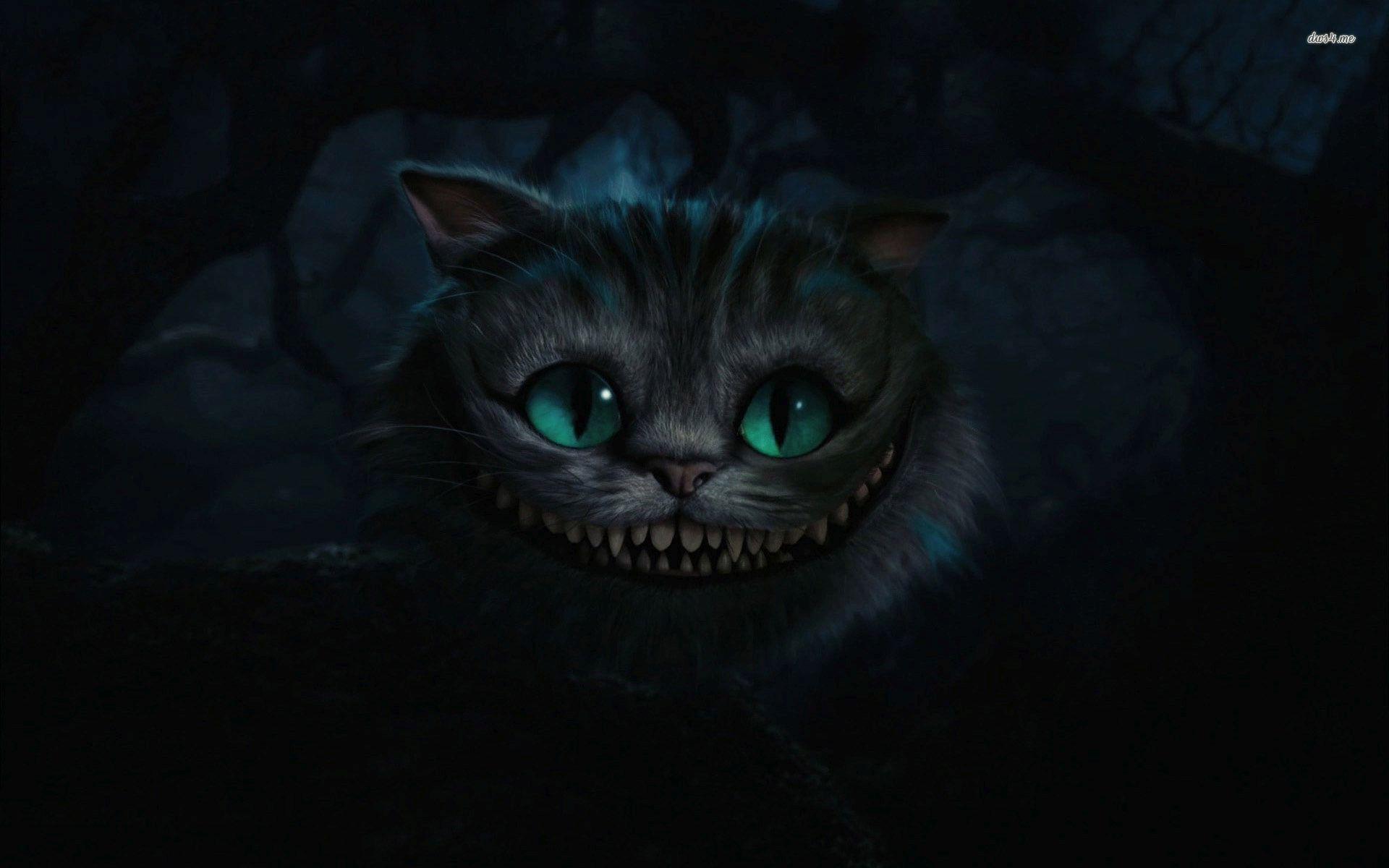 Cheshire cat wallpapers