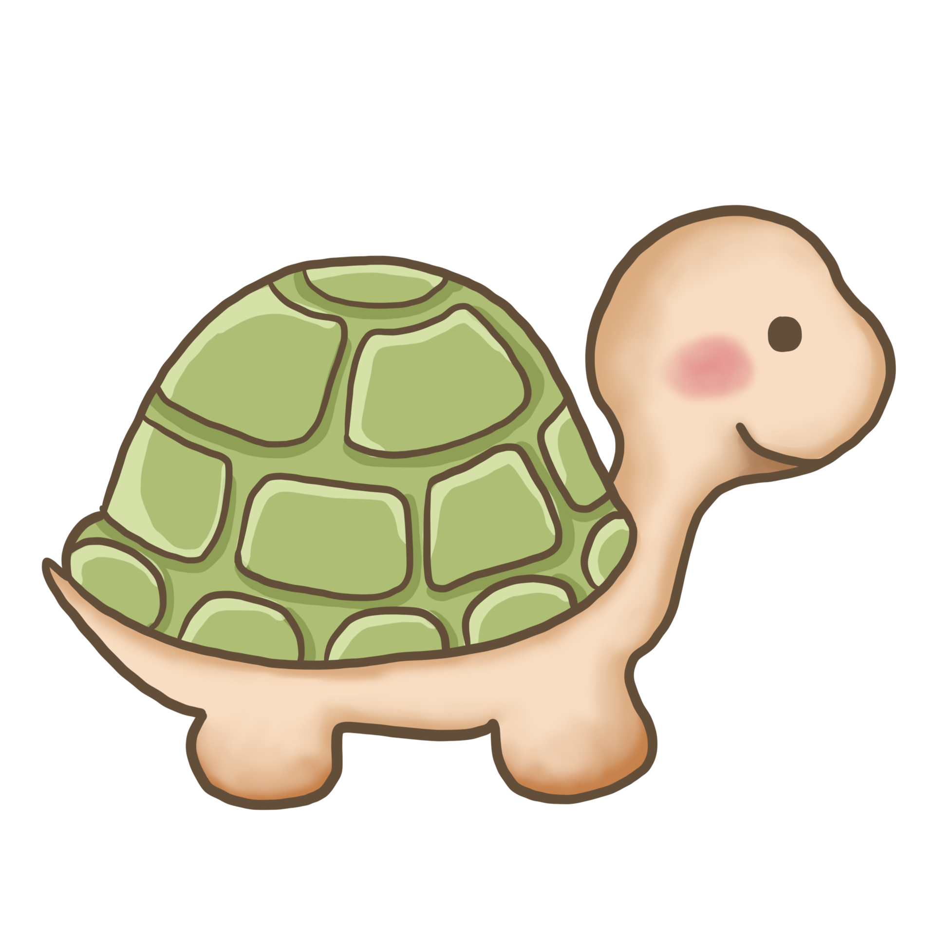 Download turtle cartoon doodle kawaii anime coloring page cute illustration drawing clipart character chibi manga icâ drawing clipart cute illustration chibi