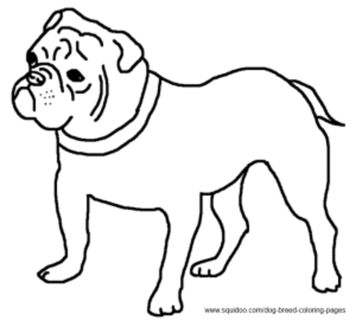 Dog breed coloring pages