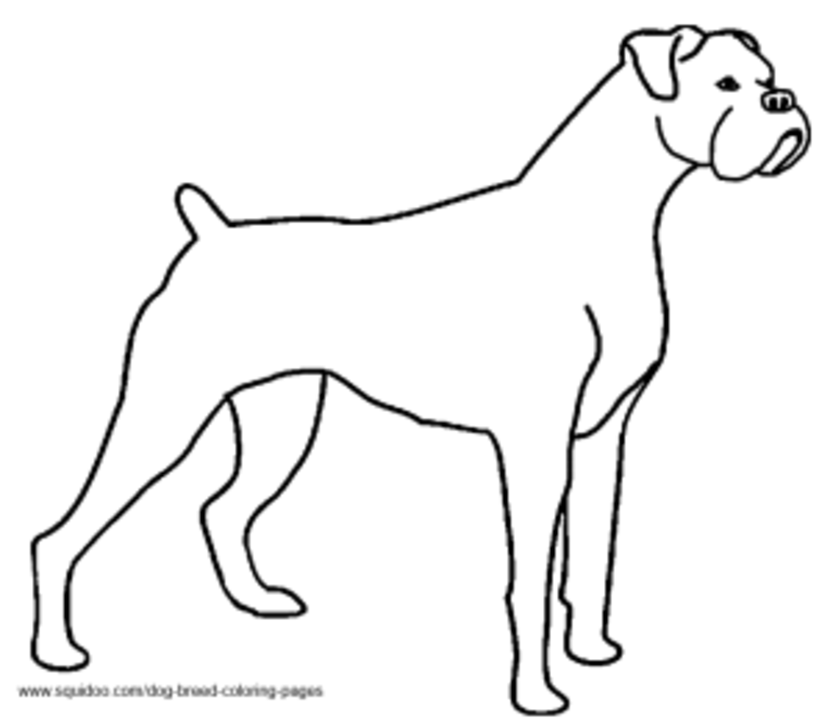 Dog breed coloring pages