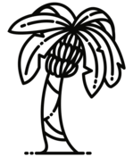 Palm tree coloring pages free coloring pages