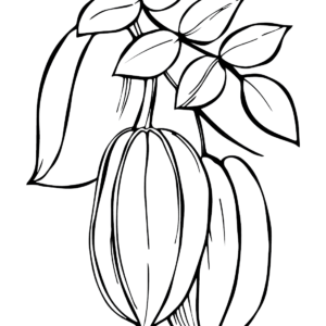 Star fruit coloring pages printable for free download