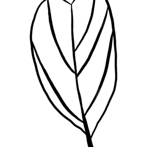 Leaves coloring pages printable for free download