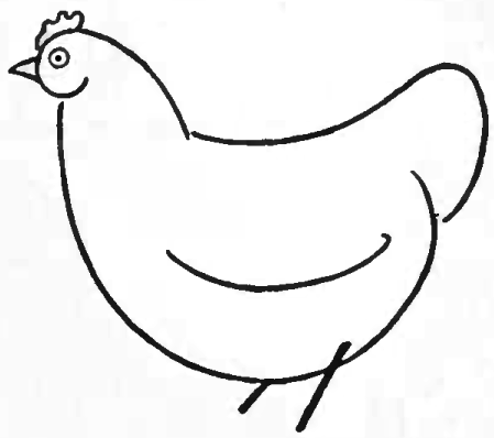 Learn to draw chickens and hens with simple step