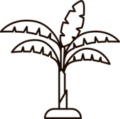 Palm tree coloring pages free coloring pages