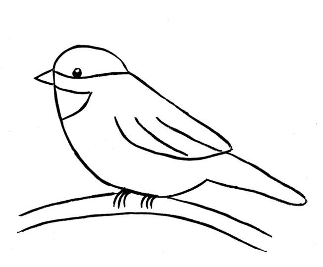 Draw a chickadee