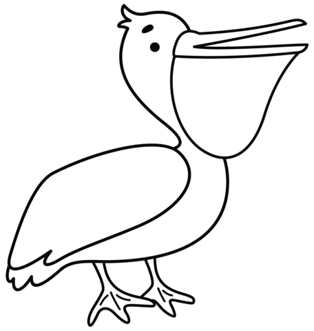 Pelican coloring page free printable coloring pages