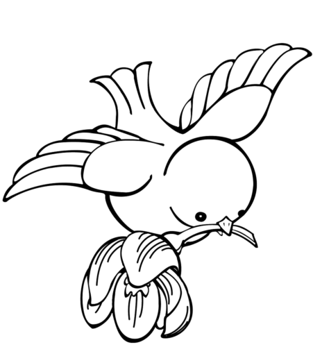 Birds coloring pages printable