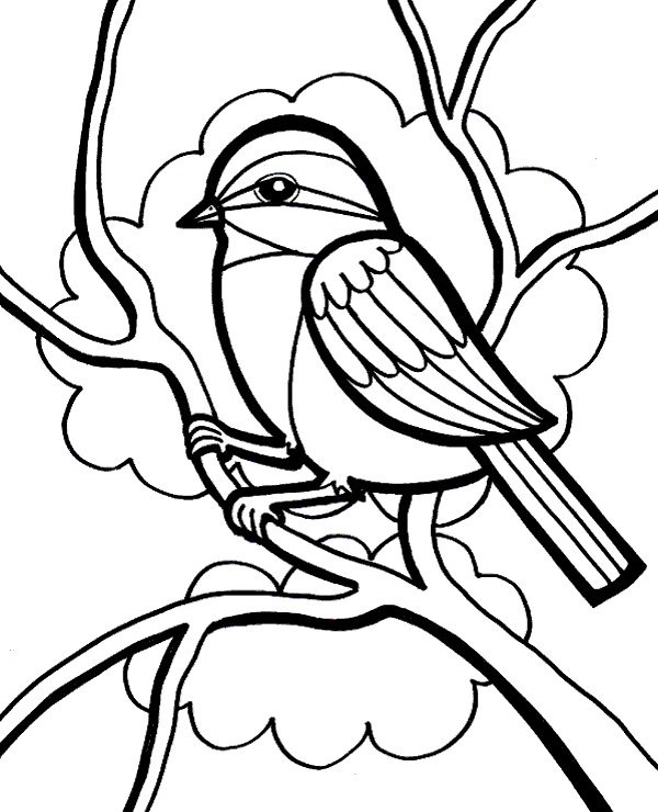 Picture with bird bird coloring pages valentines day coloring page coloring pages