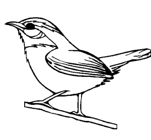 Dibujos para colorear pintar e imprimir bird coloring pages coloring pages south carolina art