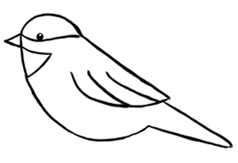 Draw a chickadee