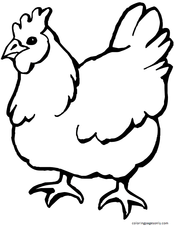 Chicken coloring page