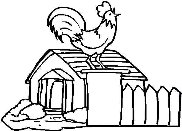 Chicken coop and crowing rooster coloring pages people coloring pages coloring pages fairy coloring pages