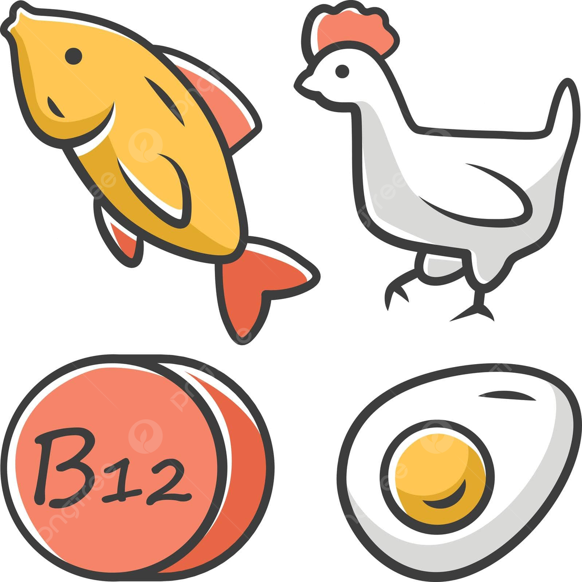 Chicken draw vector art png images free download on