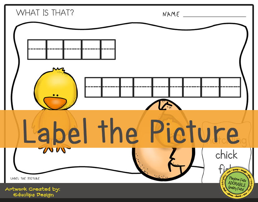 Chicken life cycle storytime activities for preschool