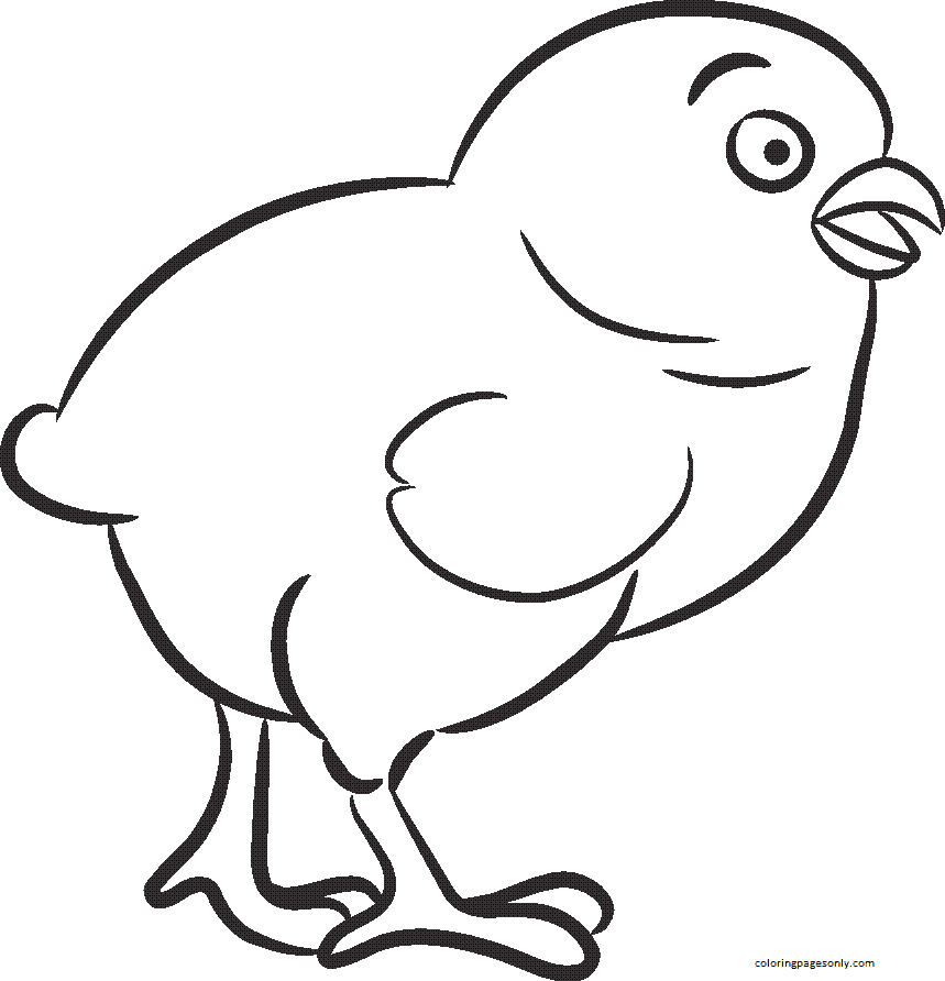 Chicken coloring pages