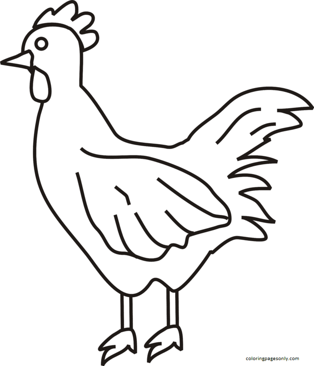 Life cycle of a chicken coloring page