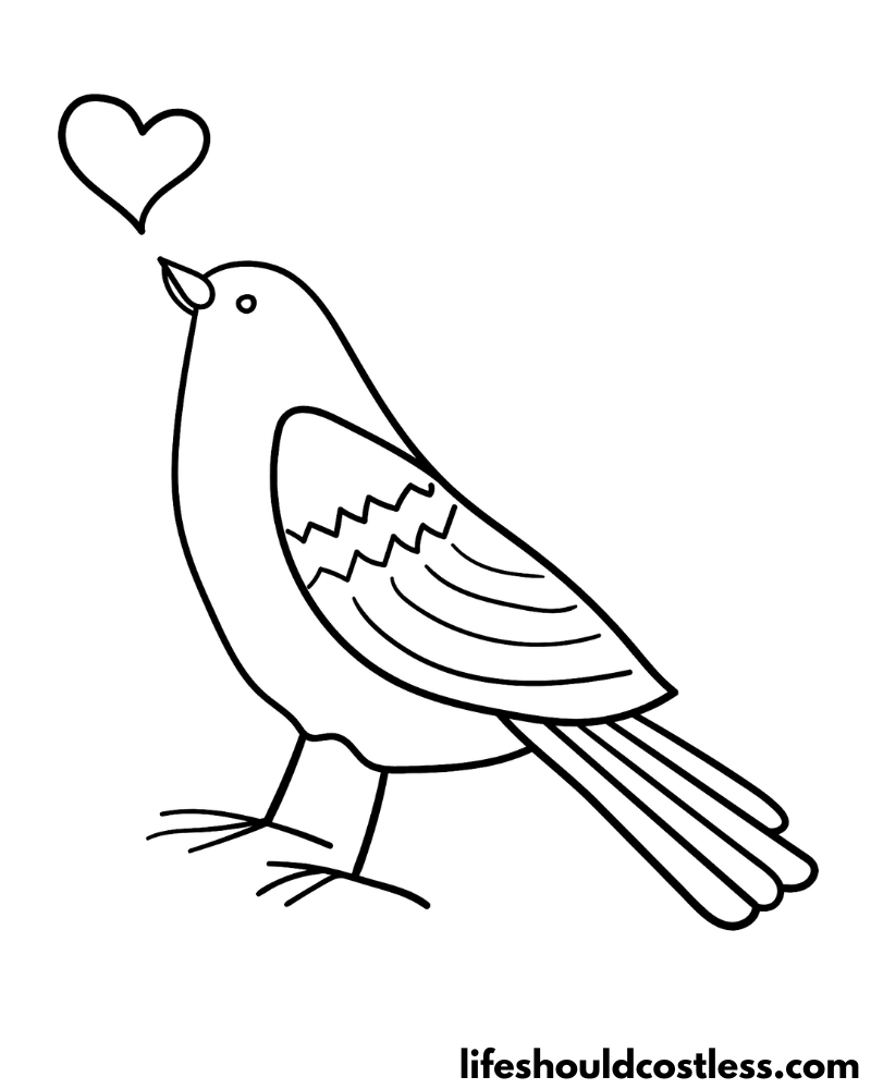 Bird coloring pages free printable pdf templates