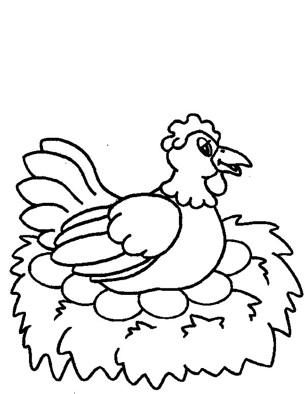 Drawing chicken egg being hatched coloring pages