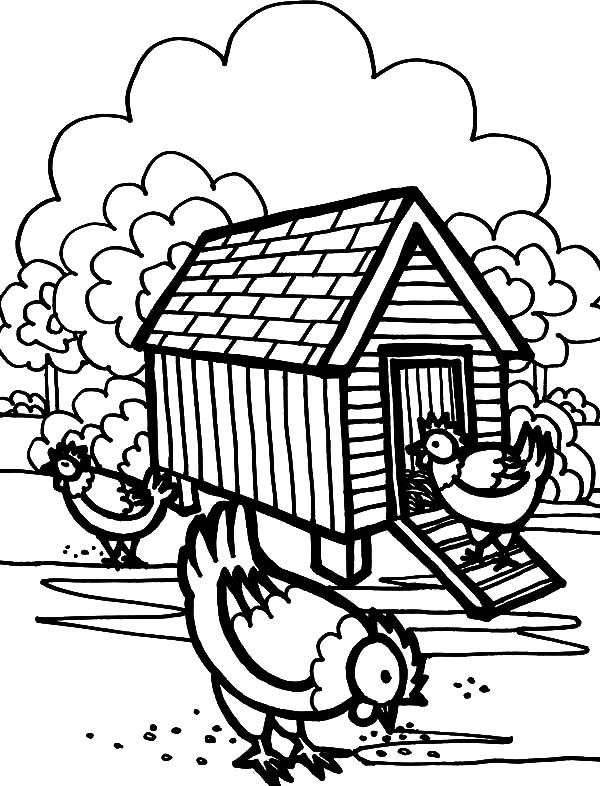 Three hen in front of chicken coop coloring pages