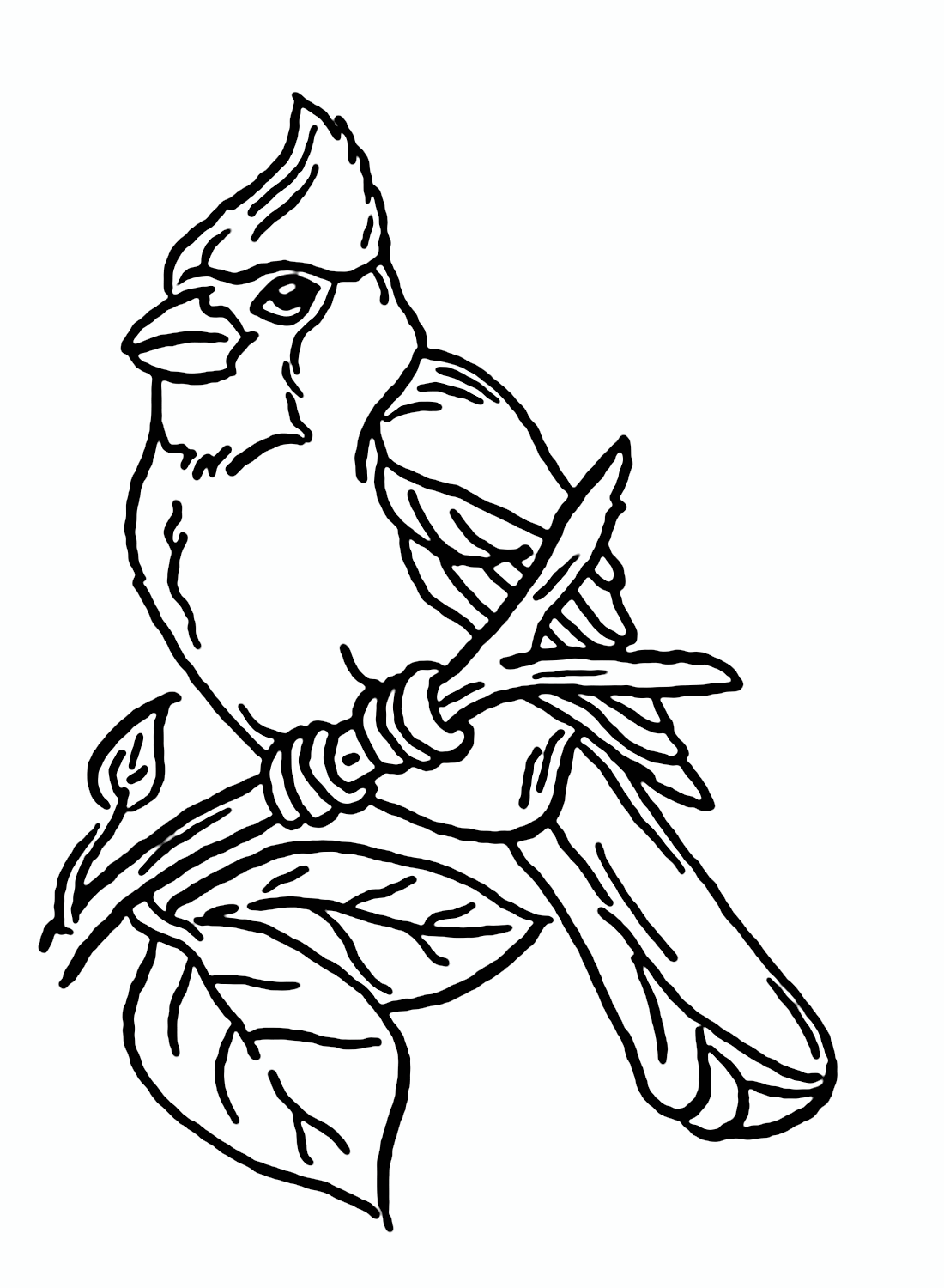 Cardinal coloring pages printable for free download