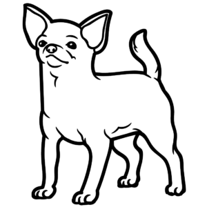 Chihuahua coloring pages printable for free download