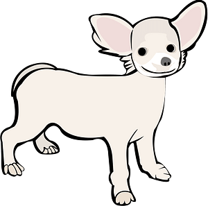 Chihuahua clipart free download transparent png