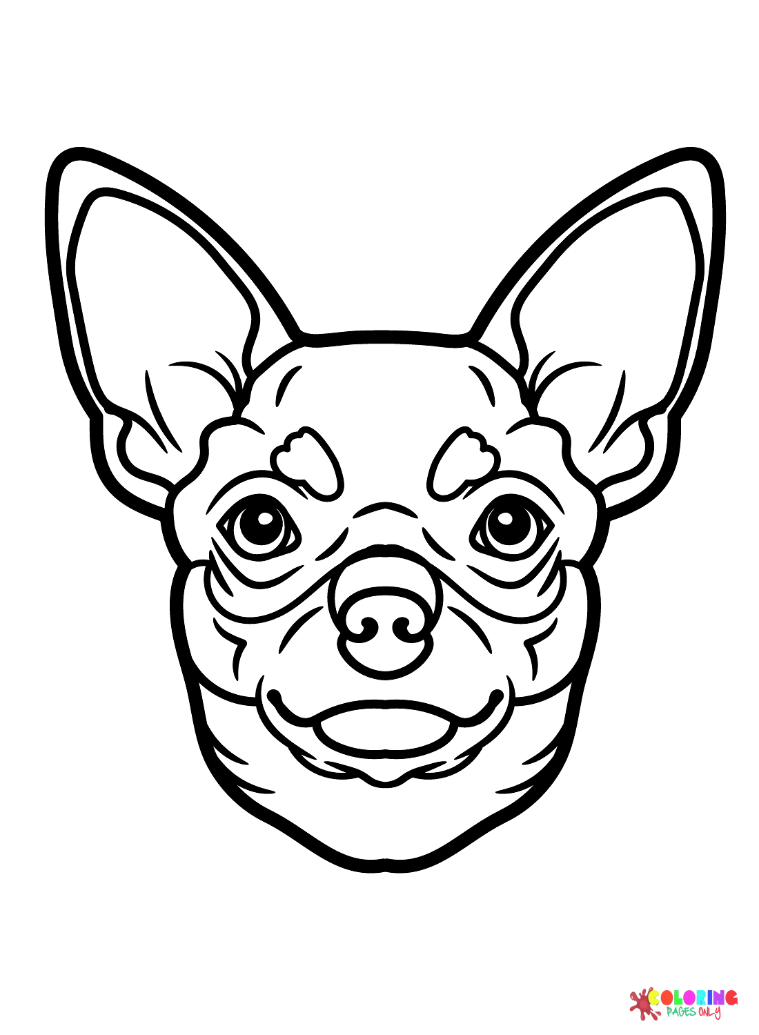 Chihuahua coloring pages