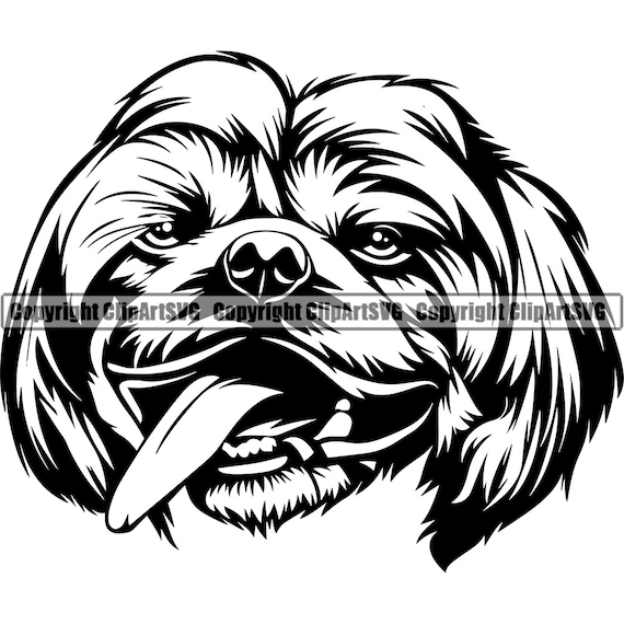 Shih tzu dog breed head happy face paw puppy pup pet art k