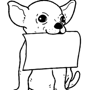 Chihuahua coloring pages printable for free download