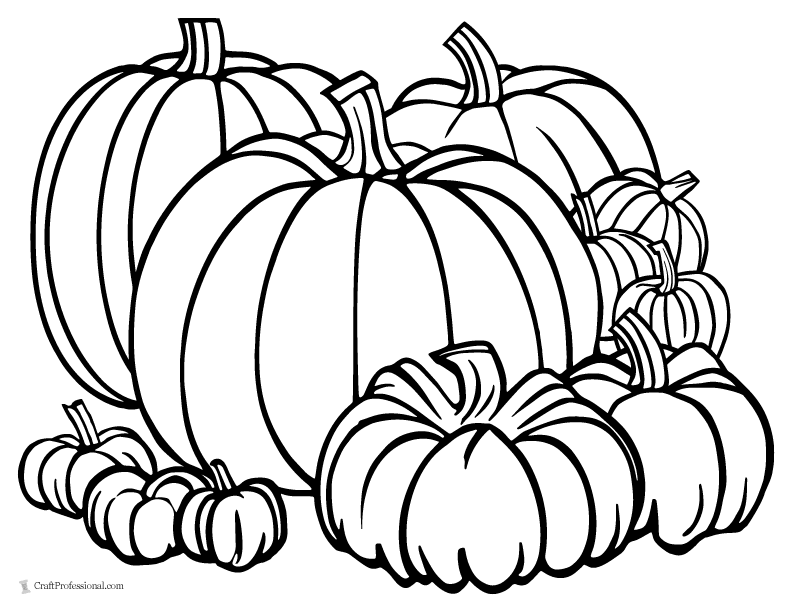 Thanksgiving coloring pages for adults kids free printables