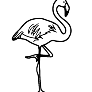 Flamingo coloring pages printable for free download