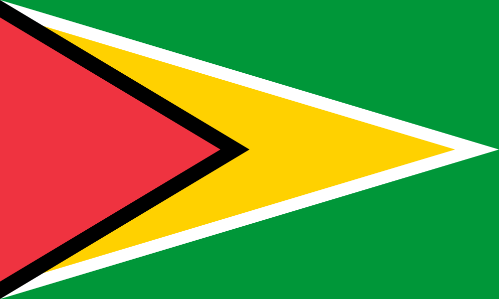 Guyana flag color codes