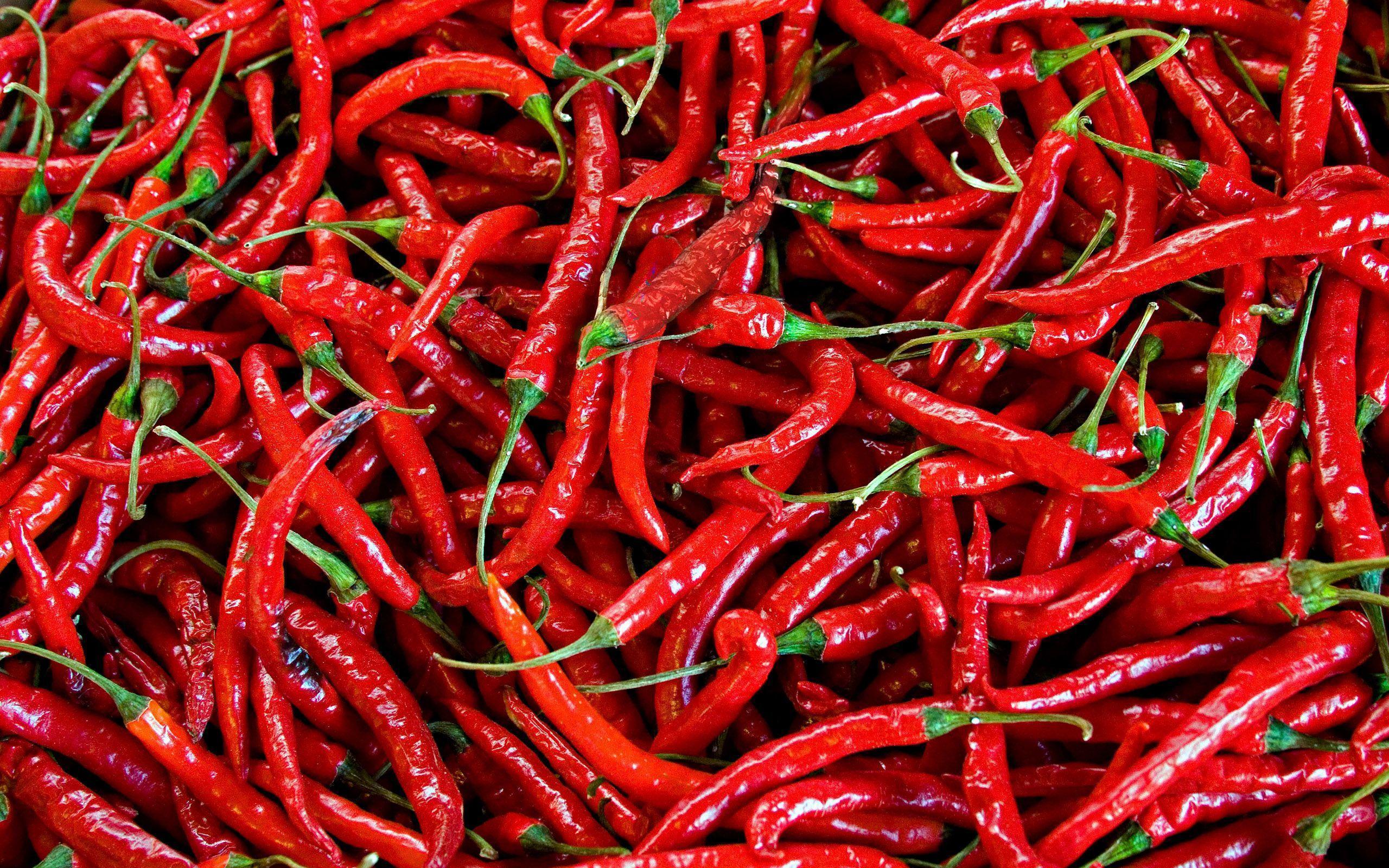 Chili wallpapers