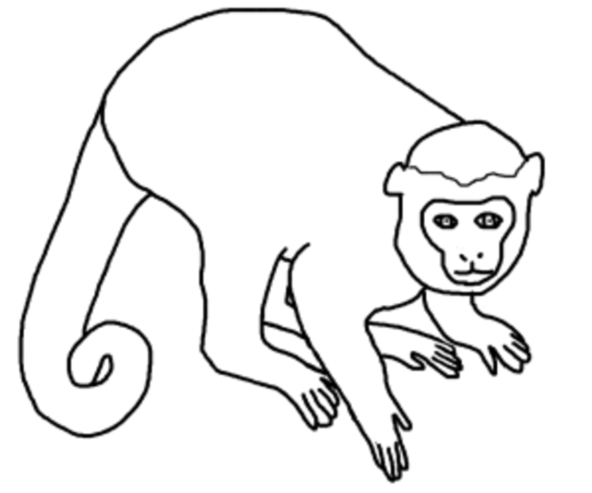 Jungle coloring pages