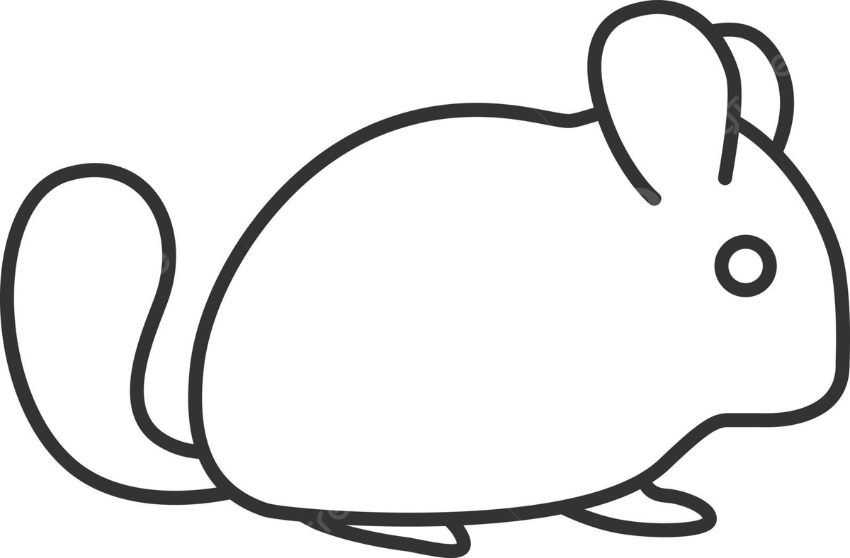 Chinchilla vector art png images free download on