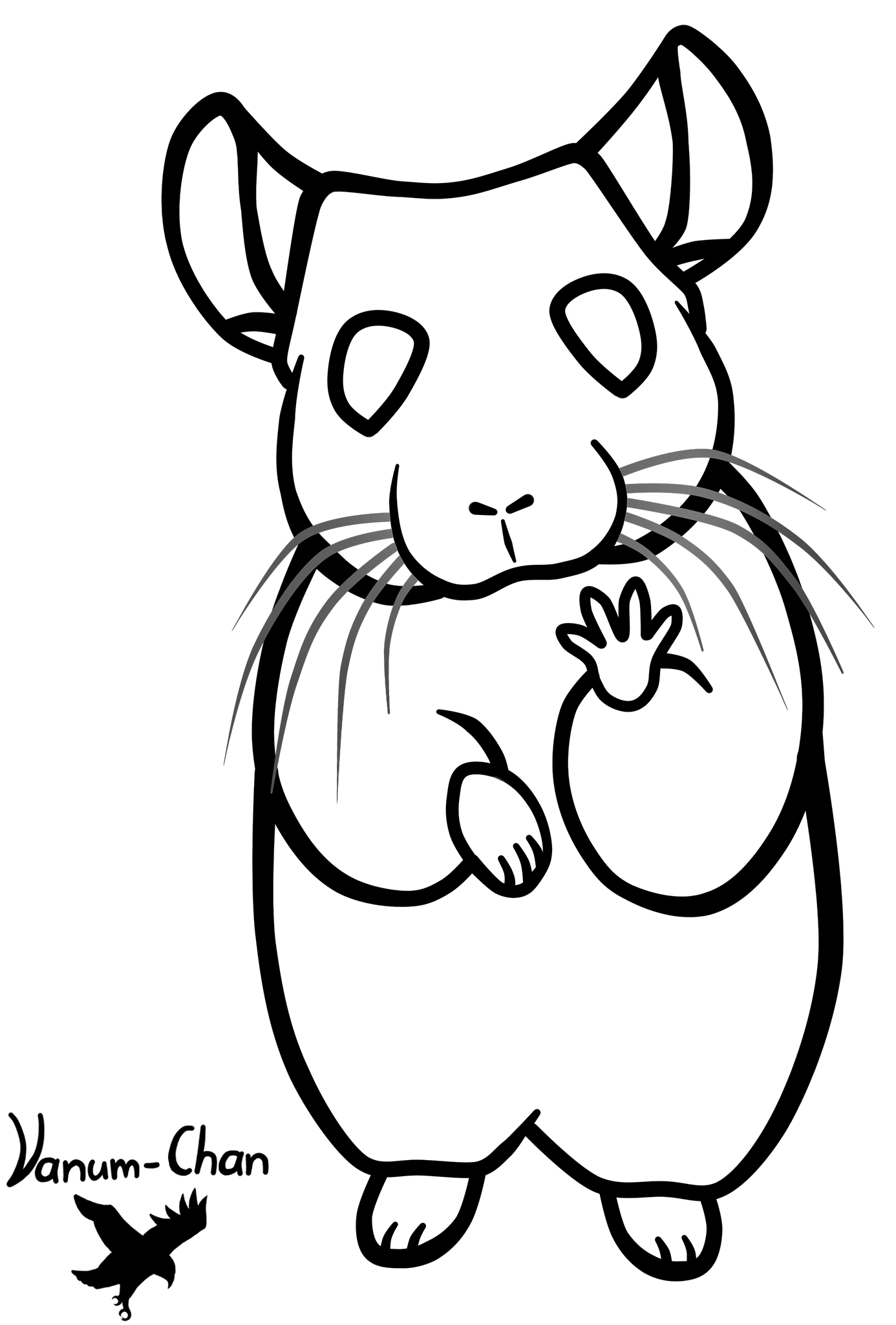 Chinchilla line art free by vanum