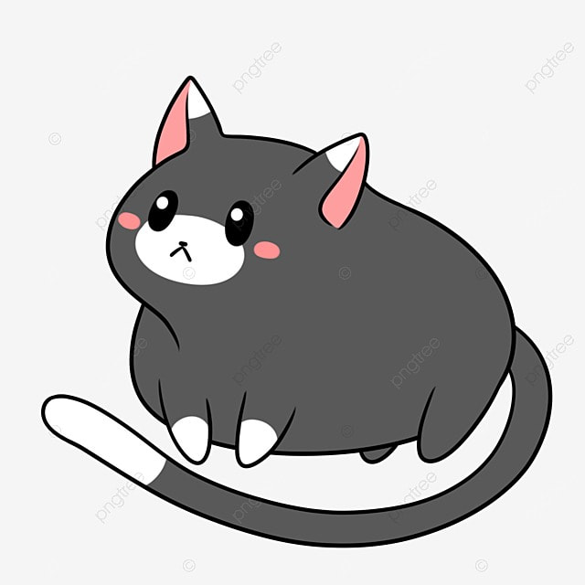 Cat leg png transparent black and white cat standing on short legs cat animal pet png image for free download