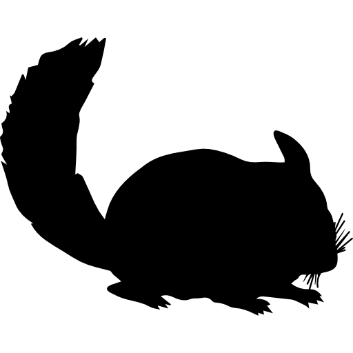 Chinchilla mammal animal silhouette