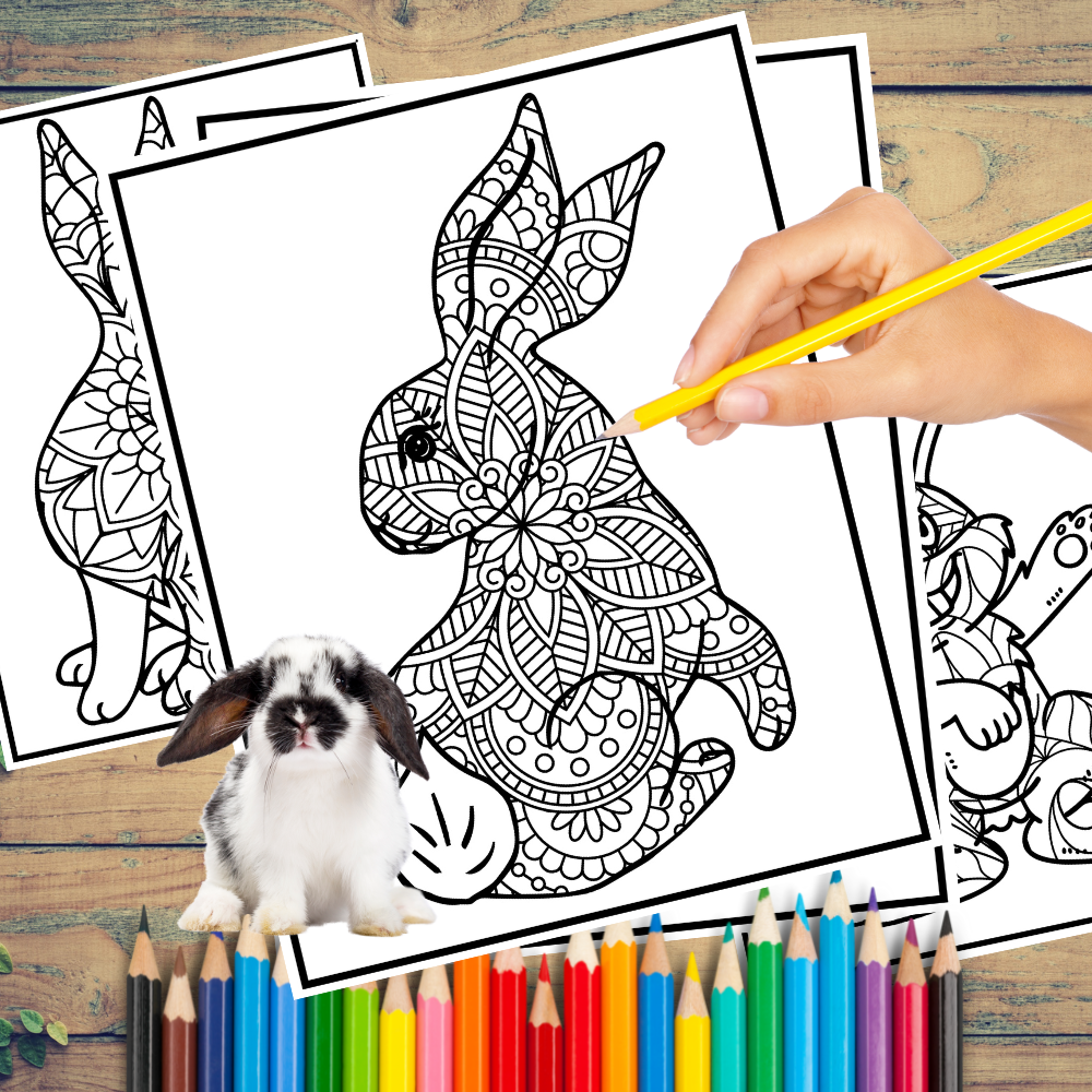 Rabbit zentangle coloring book for kidschinese new year mindfulness copy made by teachers